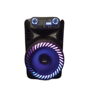 SS1501 - 15 inch Bluetooth Speaker Subwoofer