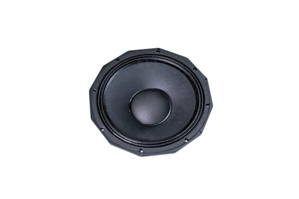 10 Inch DJ Speaker