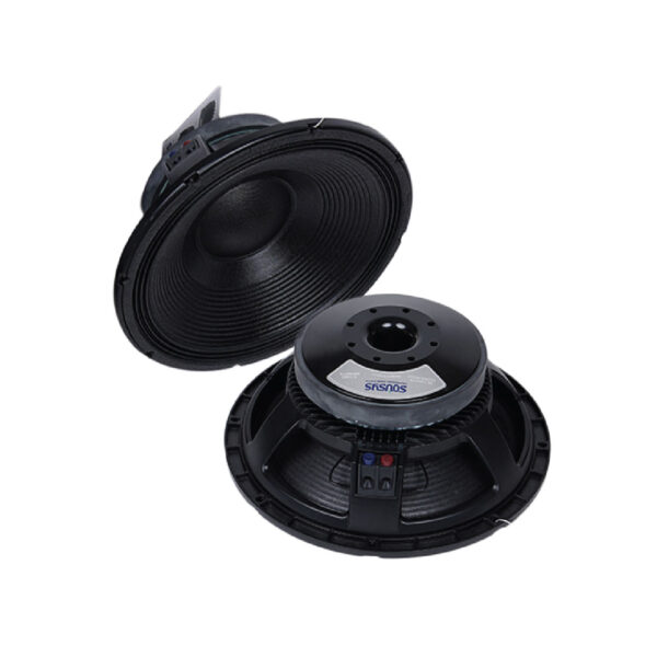 SS 15X600 - 15 inch DJ Speaker