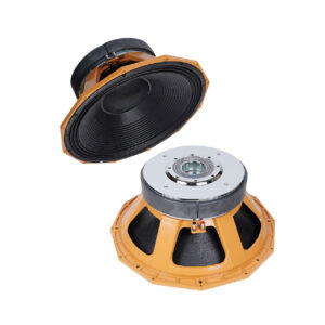 SS-PD2160DM - 21inch Double Magnet DJ Speaker
