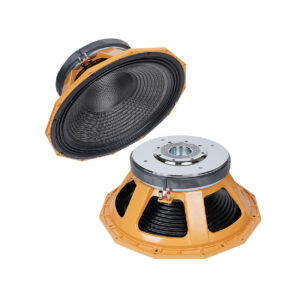 SS-PD2160TX - 21 inch DJ Speaker