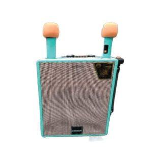 SS-0802 Bluetooth Speaker Subwoofer