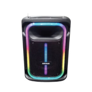 SS-1001 Bluetooth Speaker Subwoofer