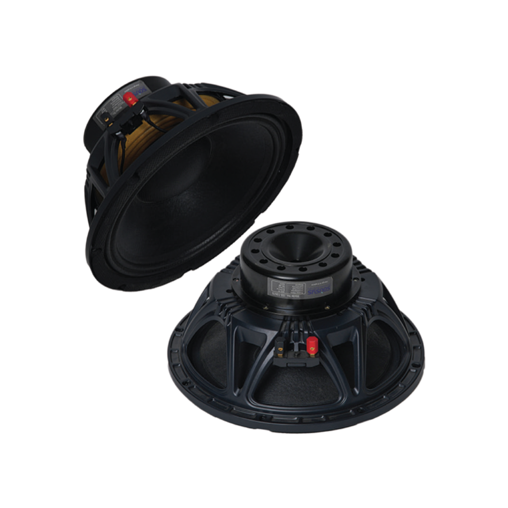 SS-10N76 10 Inch DJ Speaker Manufacturer and Supplier in Delhi, India